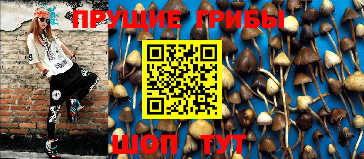 Галлюциногенные грибы Psilocybine cubensis  Вход с VPN  Чебоксары 