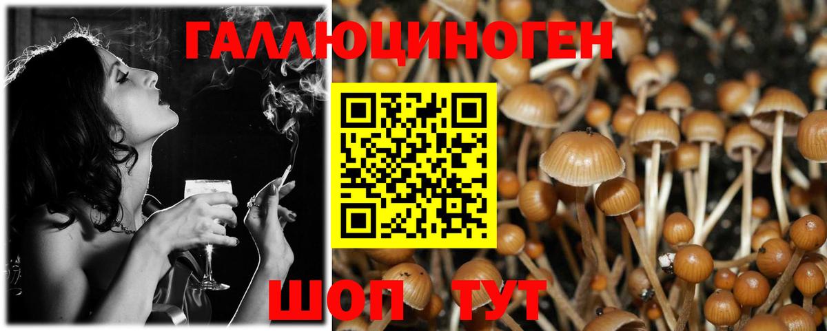 Псилоцибиновые грибы мухоморы Чебоксары