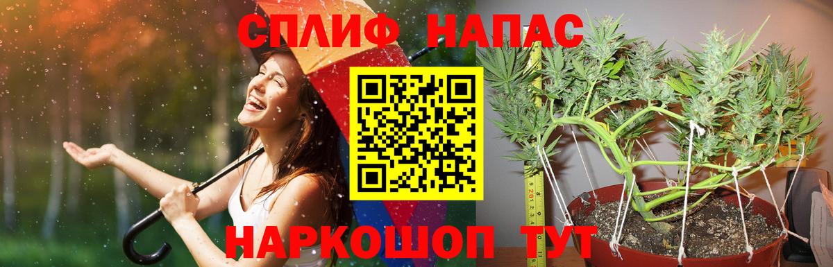 Конопля THC 21%  Бошки Шишки семена  Марихуана тримм  Чебоксары  Вход с VPN 